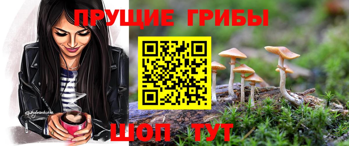 Усолье-Сибирское  Псилоцибиновые грибы Cubensis  Вход с VPN  хочу   Псилоцибиновые грибы Psilocybe 